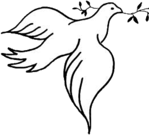 Flowers U Can Draw (512x512)