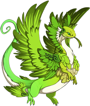 They Are Set To Be The Breeders Of Many Quaker Parrot - Dragon (350x350)