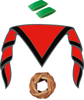Js Premier Engagement Tribu - Bague De Foulard Scout (354x421)