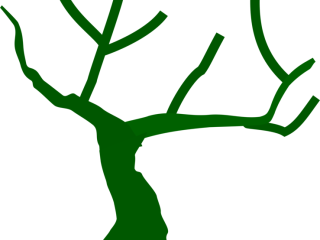 Bark Clipart Tree Stem - Tree With Branches (640x480)