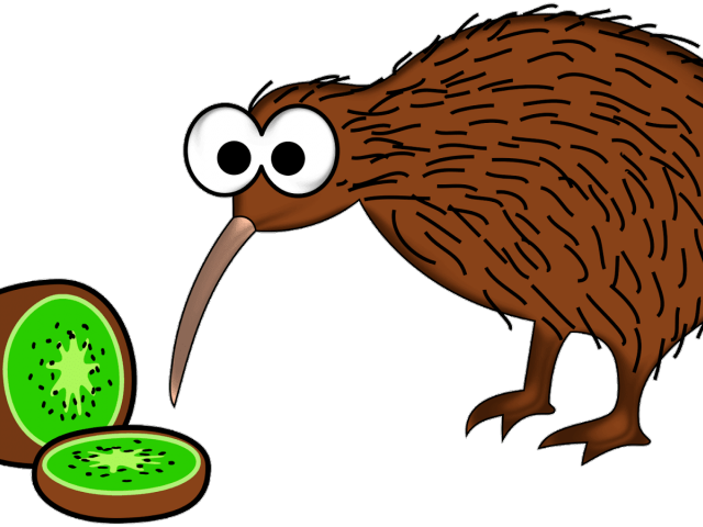 Porcupine Clipart Anmal - Kiwi Bird Cartoon (640x480)