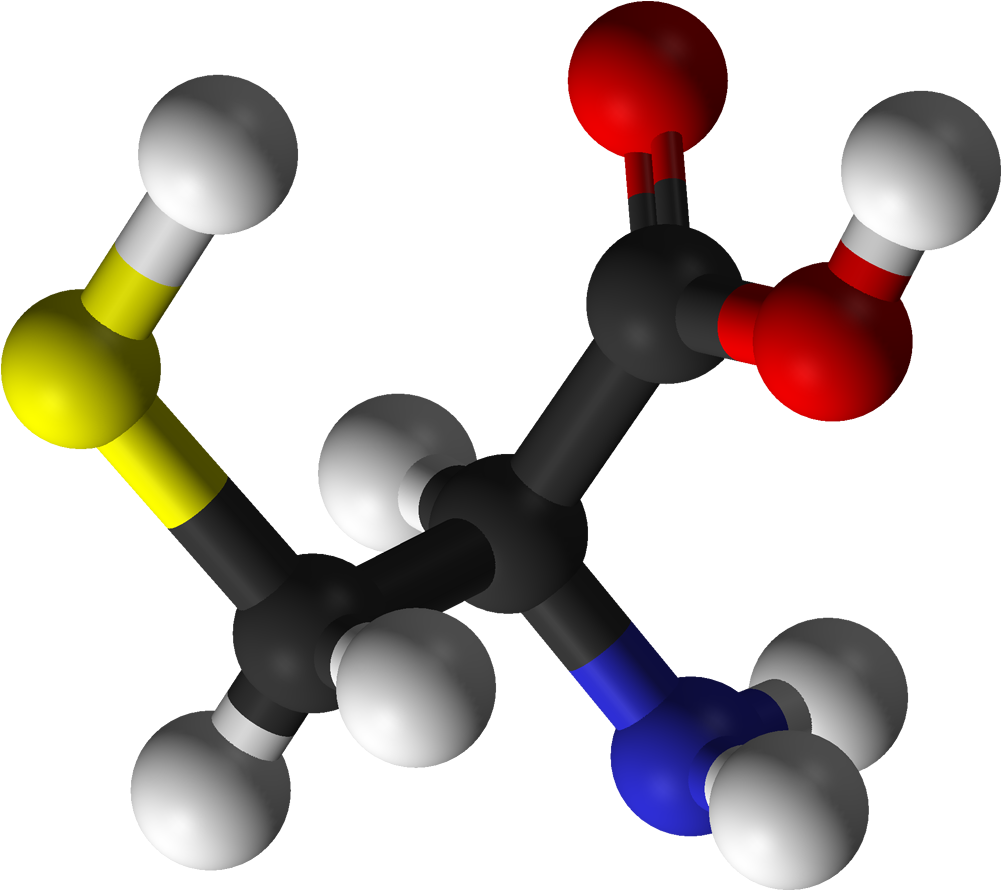 In Order To Reduce Fermentation And Kneading Period, - Cysteïne (1100x989)