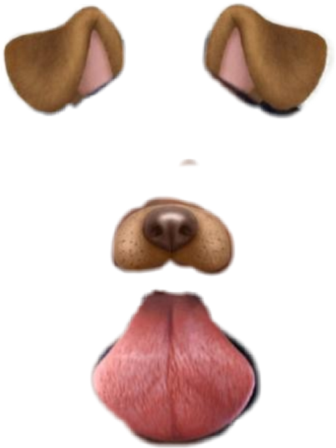 Png Snapchat Dog (480x640)
