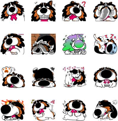 Sheltie Baby Stare At You - Sheltie Baby Stare At You (420x448)