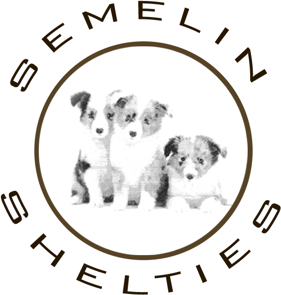 Shetland Sheepdog Laila Semelin - Shetland Sheepdog Hvalpe Logo (600x600)