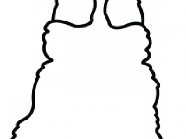 Drawn Guinea Pig Easy - Drawn Guinea Pig Easy (640x480)