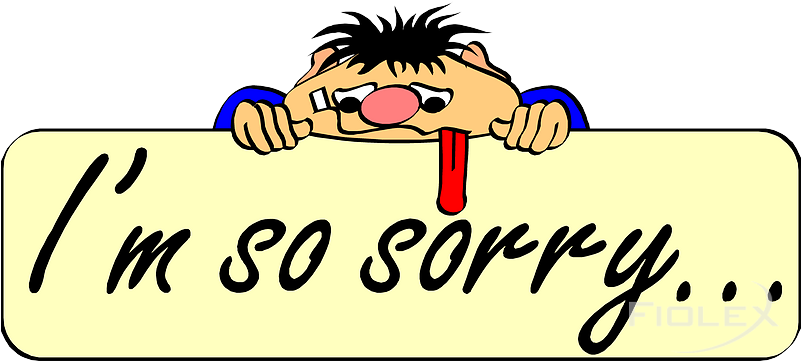 Sorry - Little Bit Of Everything (800x373)