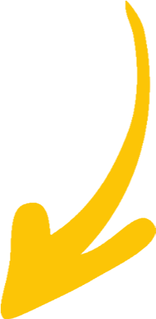 Monthly Membership Shark Hunter's Dfs - Monthly Membership Shark Hunter's Dfs (500x650)