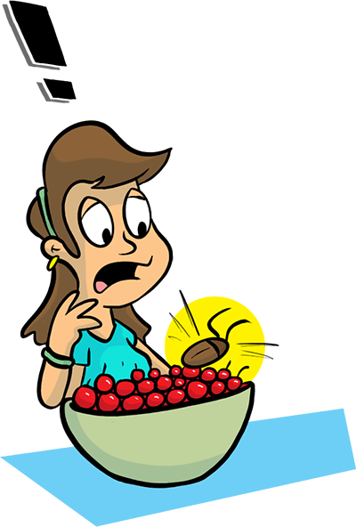 Cockroach On Food Clipart (400x592)