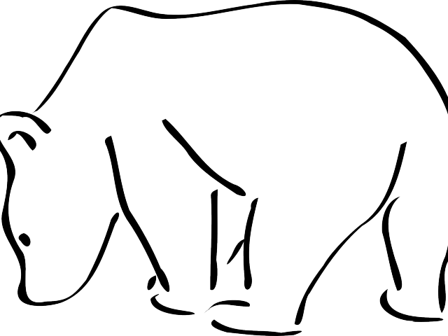 Polar Clipart Spirit Bear - Polar Bear Clipart Transparent (640x480)