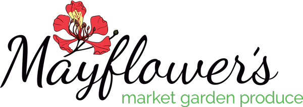 Mayflower Market Gardens Is A Small-scale Family Run - Mayflower Market Gardens Is A Small-scale Family Run (600x213)
