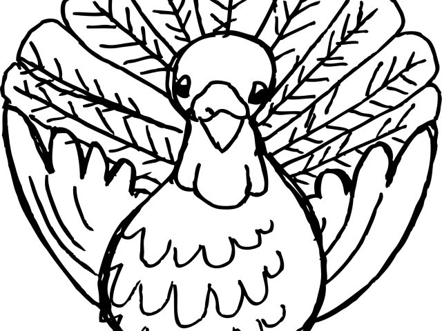 Drawn Turkey Transparent - Thanksgiving Clipart Black And White Png (640x480)