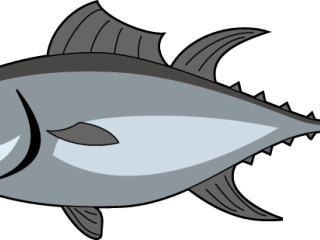 Raw Clipart Frozen Meat - Tuna Fish Clipart Png (640x480)