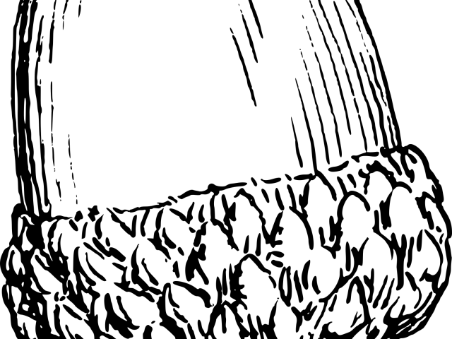 Acorn Clipart Drawn - Acorn Drawing (640x480)