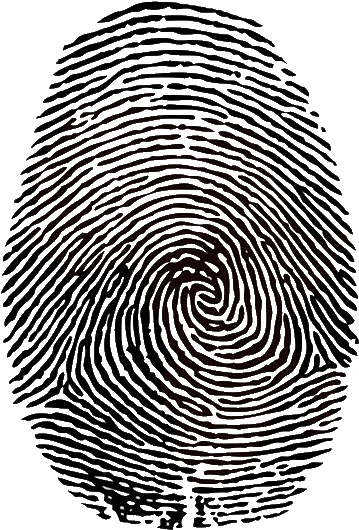 Peer Identity - Fingerprint Fibonacci Sequence (470x550)