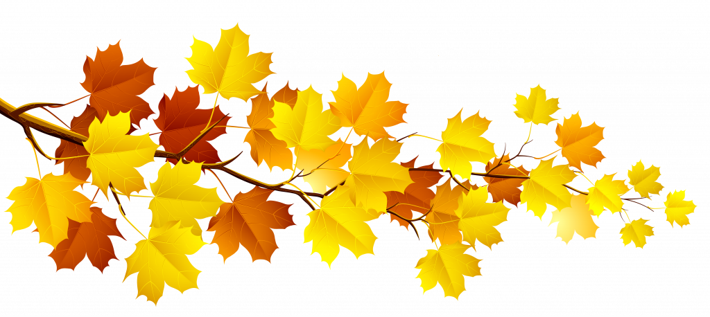 Download Free Clip Art Fall Leaves - Fall Tree Branch Clipart (1024x458)