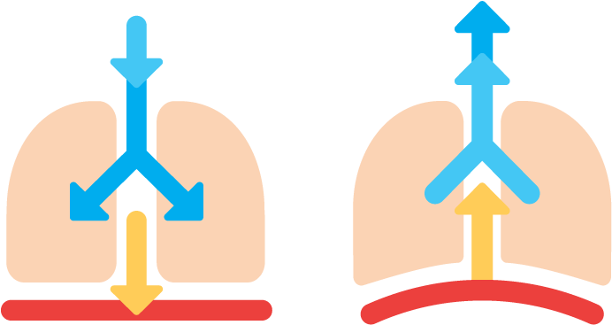 The Del Ferro Method Is Built Up In 2 Phases - The Del Ferro Method Is Built Up In 2 Phases (791x366)