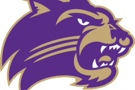 Wcu To Offer New Biltmore Park Speech Clinic For People - Western Carolina Football Logo (546x365)