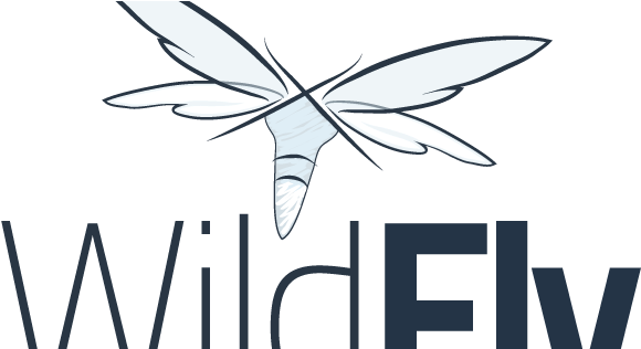 Making Javaee Ecosystem Work - Wildfly Png (600x315)