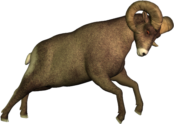 Free High Resolution Clip Art - Bighorn (608x620)