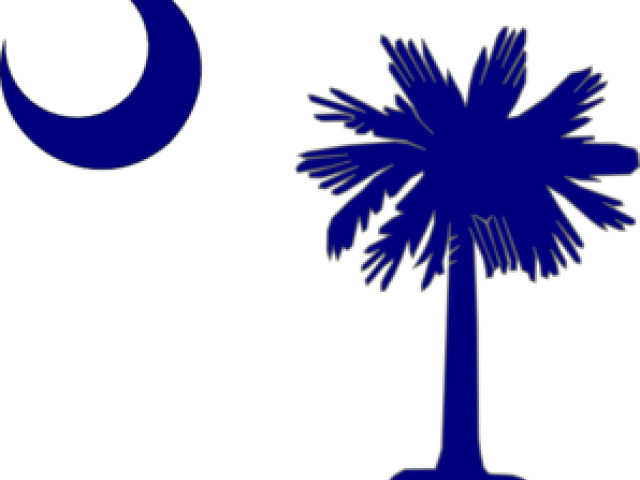Sc Cliparts - South Carolina Palm Tree Silhouette (640x480)