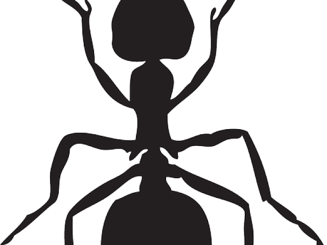 Ant Clipart Insect - Ant Insect Clip Art (640x480)