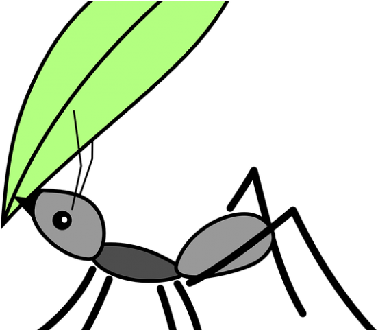 Ant Clipart Langgam - Langgam Drawing (640x480)
