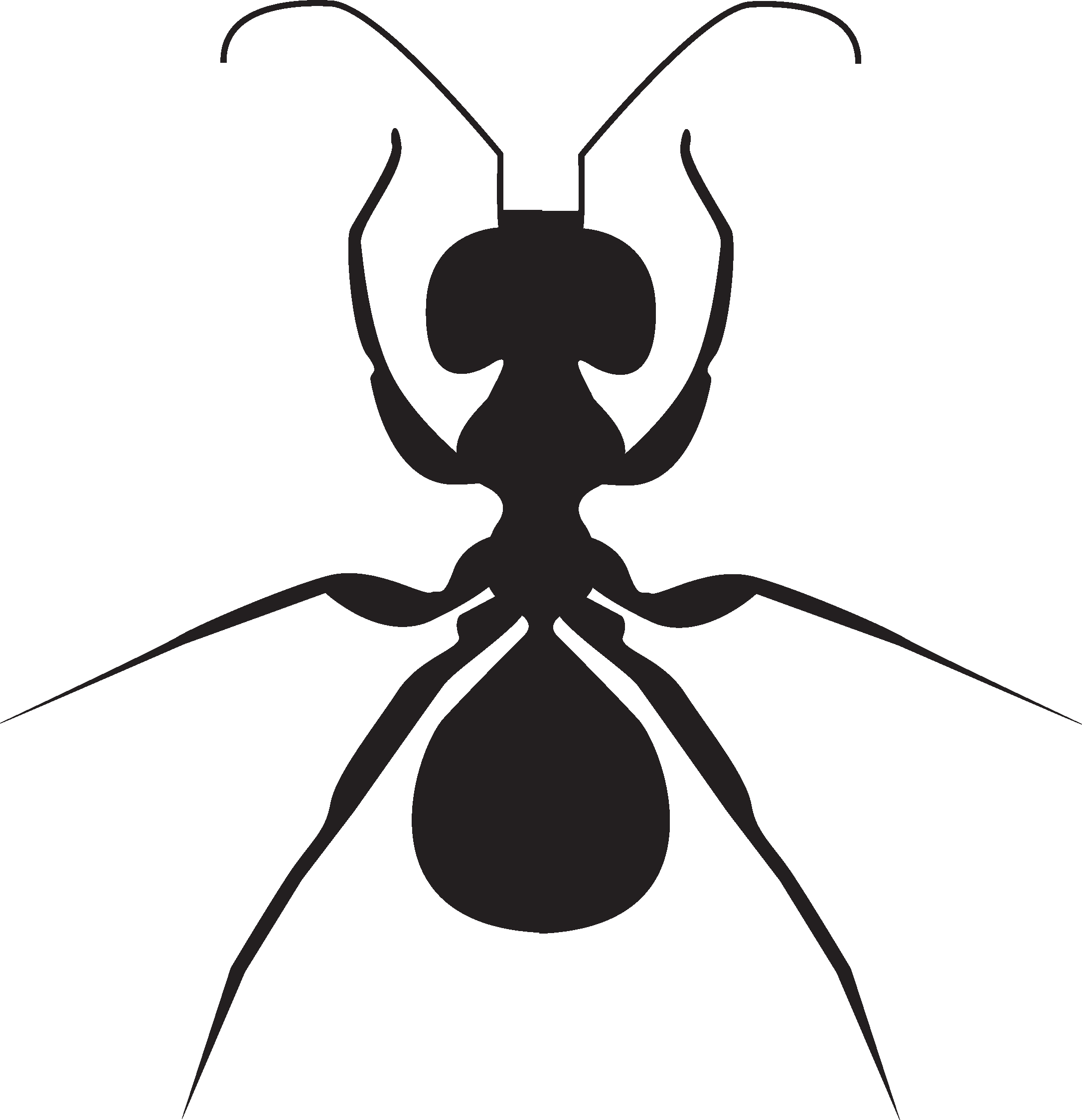 Ant Clipart , Png Download - Ant (2171x2247)