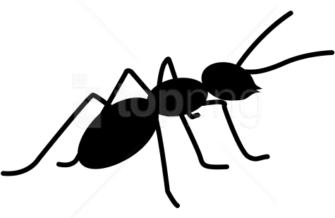 Free Png Download Ants Clipart Png Photo Png Images - Ant Silhouette Png (480x480)