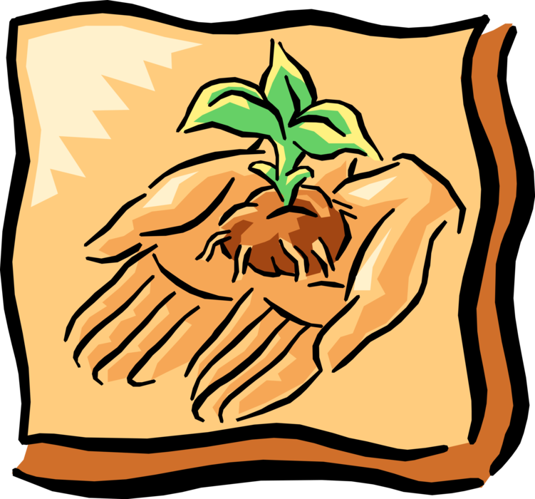 Vector Illustration Of Hands Hold And Nurture Sprouting - Vector Illustration Of Hands Hold And Nurture Sprouting (751x700)