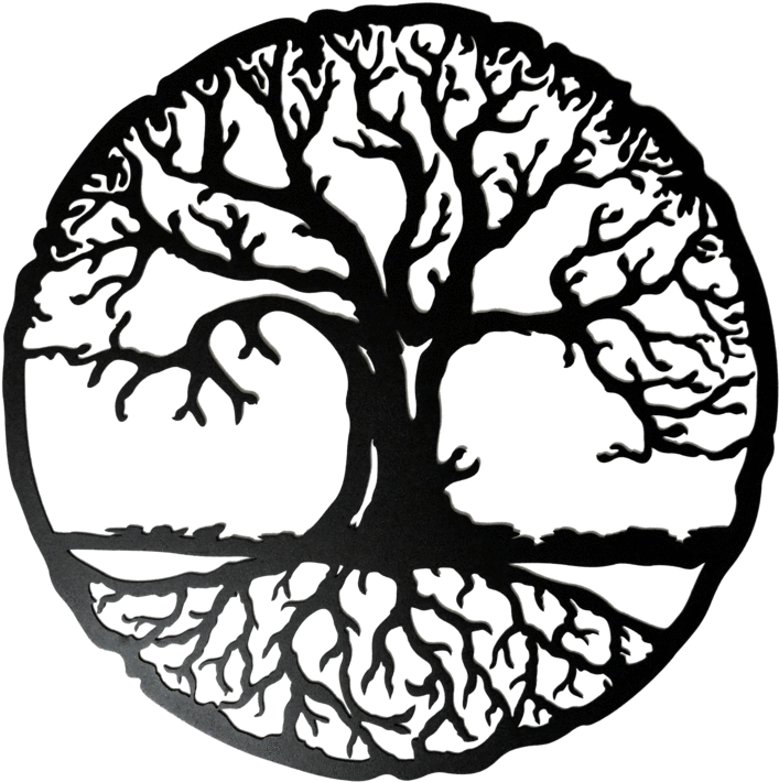 Tree Of Life Transparent Transparent Background - Tree Of Life Transparent (800x800)