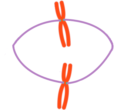 For Decades We Have Employed Slow Freezing Of Gametes - Circle (640x402)