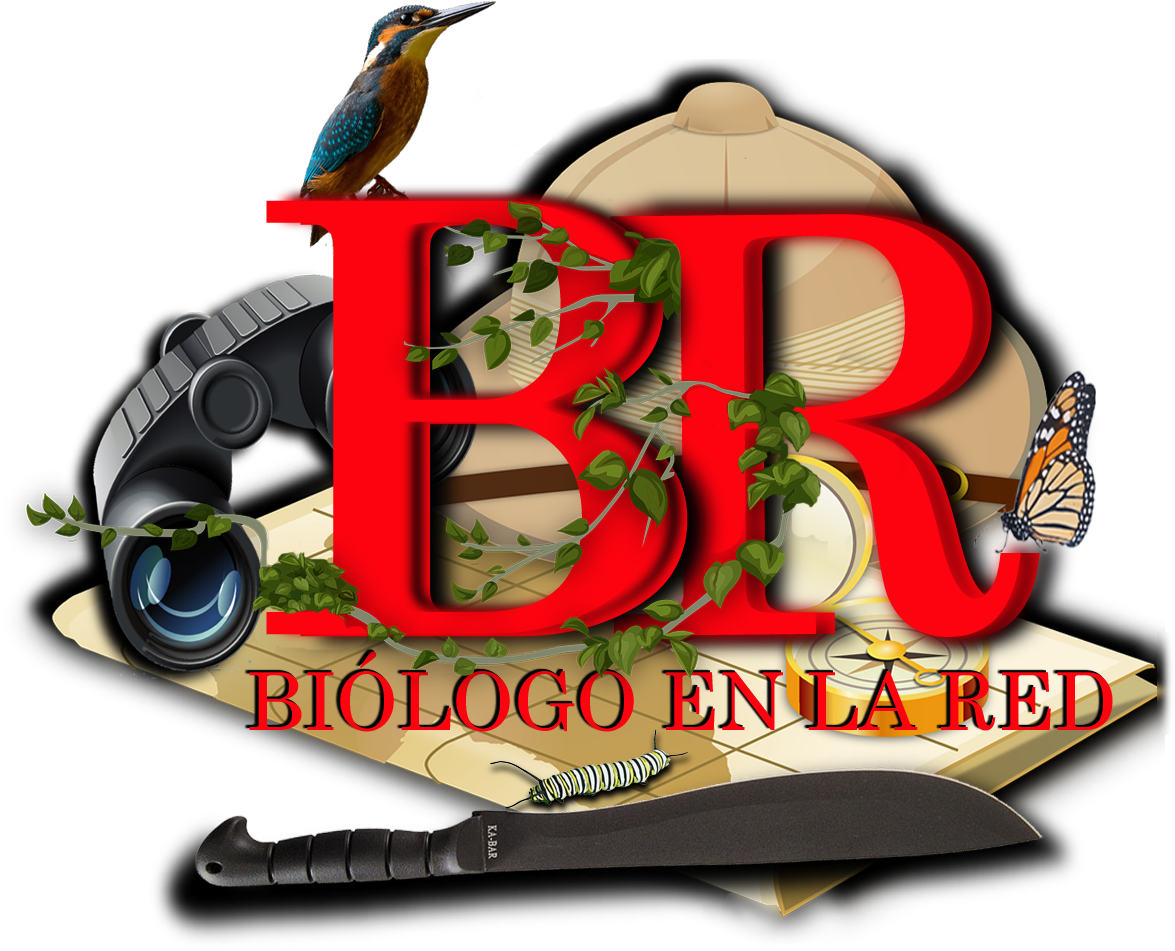 03 Apr The Channel About Travels, Nature And Adventura - Illustration (1280x1069)