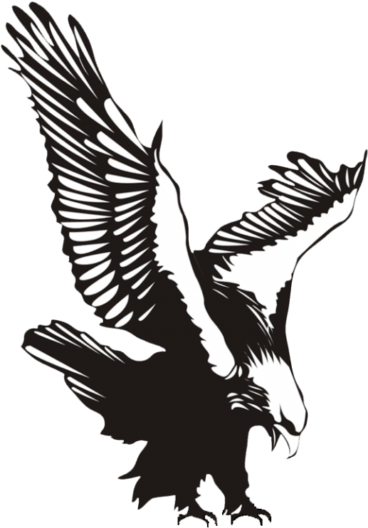 Pdf Clipart Eagle - Rights And Equality Party (768x768)