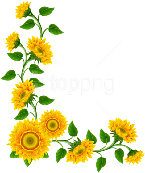 Free Png Download Sunflower Border Decoration Clipart - Sunflower Border Png (480x571)