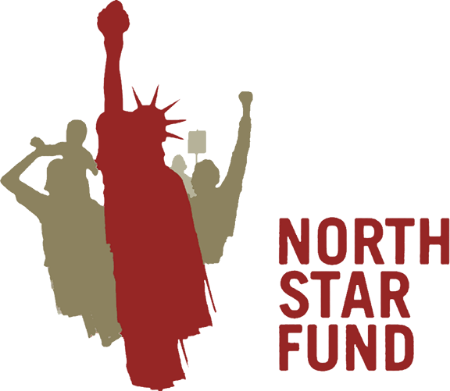 Foster Care Systematic Abuses - North Star Fund Logo (450x391)