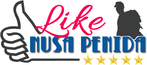 Like Nusa Penida Tours Like Nusa Penida Tours - Graphic Design (584x266)