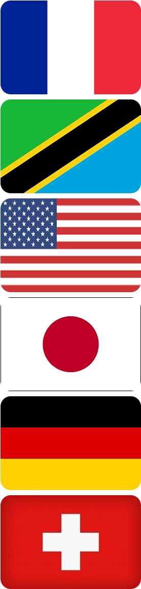 State Flags - Home - Flag Of The United States (295x1168)