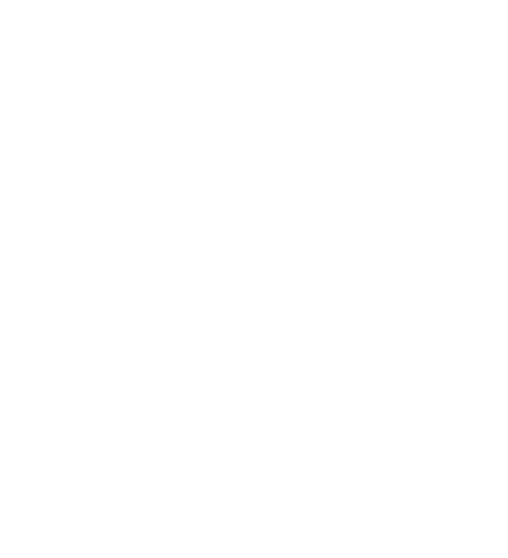 Italy - Sfondo Cartina Italia Stilizzata (500x500)