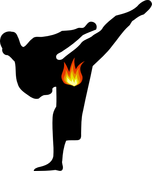 Martial Arts Poses Silhouette (534x599)