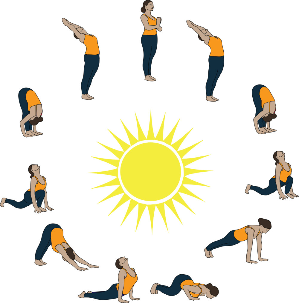 Circulatory System And Sun Salutations City Yoga Studio - Sun Salutation (1000x1015)