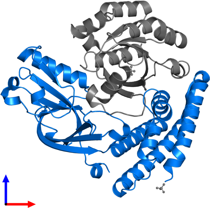 <div Class='caption-body'>pdb Entry 3vhl Contains 1 - Graphic Design (800x800)