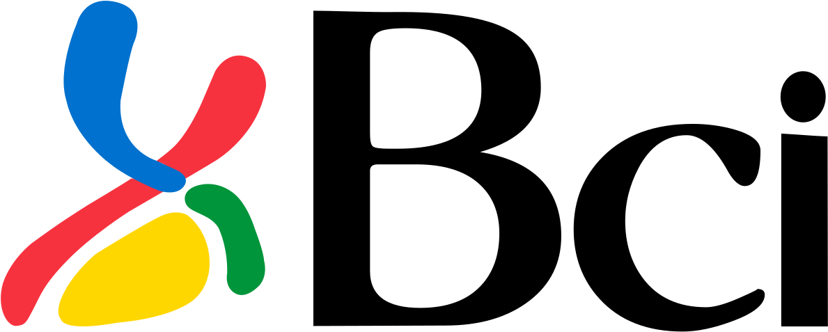 Banco De Crédito E Inversiones (1200x488)