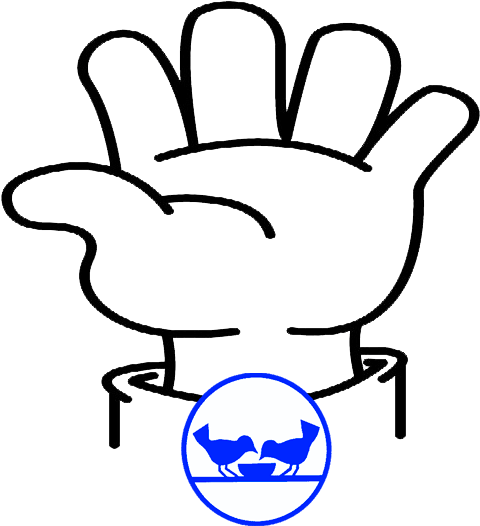 Portal Del Voluntariado - Cute Graphic Organizer Many (620x620)