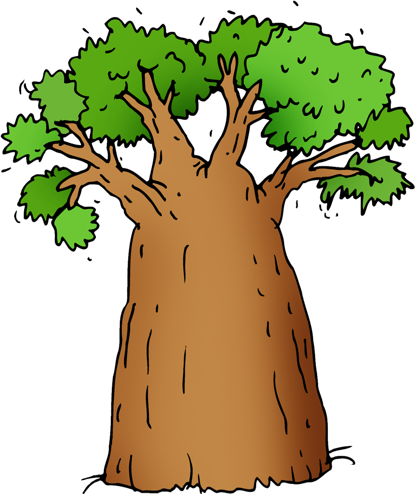 Baobab - Baobab (1000x1000)