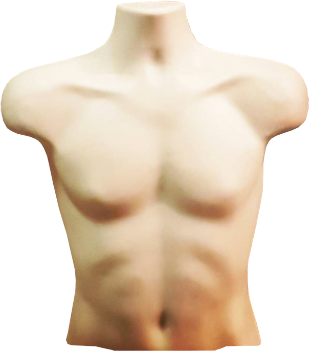 Torso Transparent Background - Pound Of Flesh Torso (800x800)