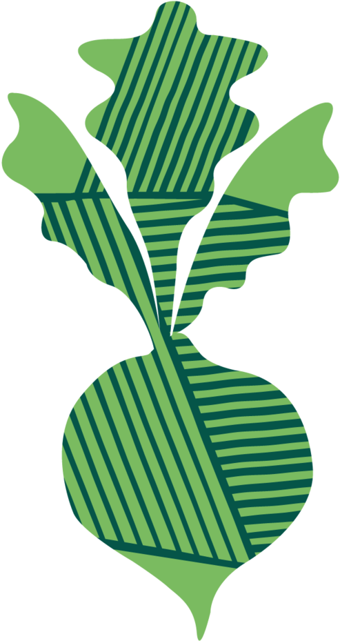 Turnip Clipart , Png Download - Turnip Clipart , Png Download (493x929)