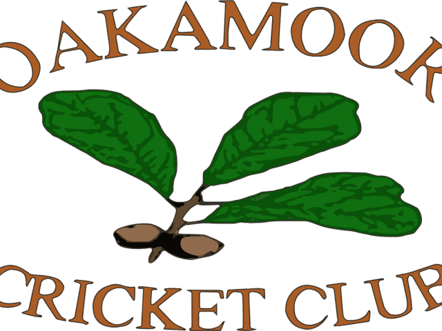 Cricket Clipart Ladies Cricket - Cricket Clipart Ladies Cricket (640x480)