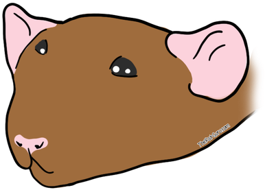 However, This Type Of Bruxing Is Usually Much Louder, - However, This Type Of Bruxing Is Usually Much Louder, (403x300)