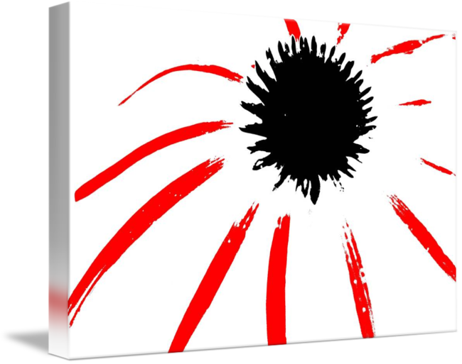 Coneflower Black White And Red Series By Betty Northcutt - Sunflower (650x513)